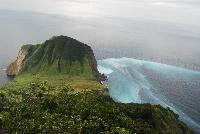Picture799621
