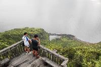 Picture799615