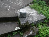 Picture799611