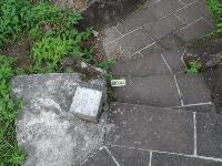 Picture799610