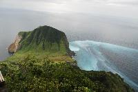 Picture799620