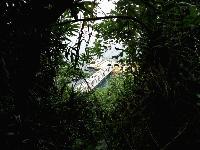 Picture799635