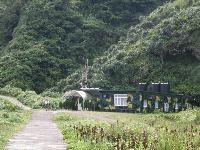Picture799636