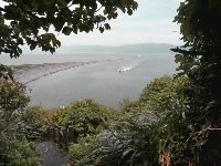 Picture799634