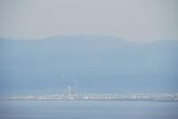 Picture799653