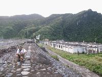 Picture799658