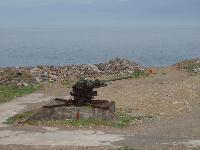 Picture799663