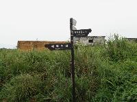 Picture799678