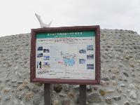 Picture799679