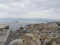 Picture799688