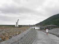 Picture799684