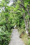 Picture799711