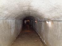 Picture799703