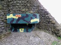 Picture799701