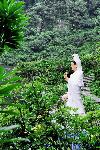 Picture799716