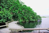 Picture799717