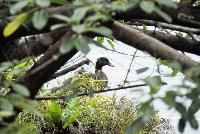 Picture799731