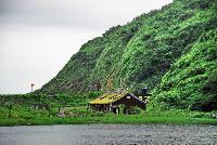 Picture799730
