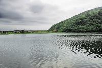 Picture799729