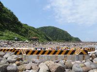 Picture799753