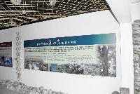 Picture799766