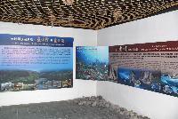 Picture799765
