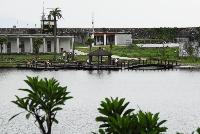 Picture799780