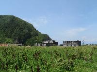 Picture799759