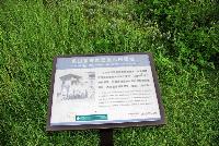 Picture799774