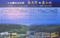 Picture799769