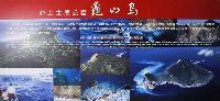 Picture799767