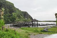 Picture799788