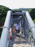 Picture799821