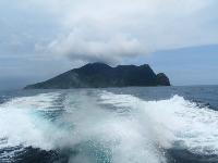 Picture799850