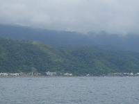 Picture799855