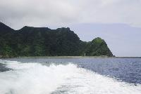 Picture799837