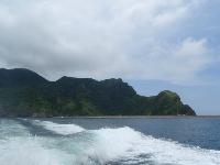 Picture799838