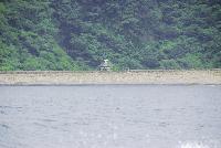 Picture799840