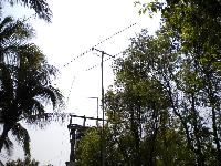Picture8410871
