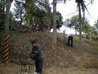 Picture8410861