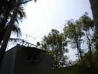 Picture8410872