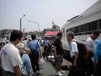 Picture8410887