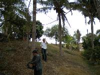 Picture8410862