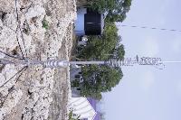 Picture8410901