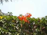 Picture8410878