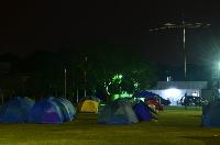 Picture12013778