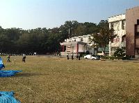 Picture12013788