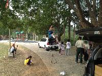 Picture12013799