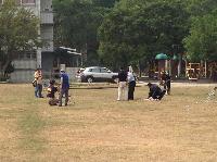 Picture12013806