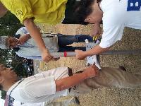 JARTS RTTY & JOTA
